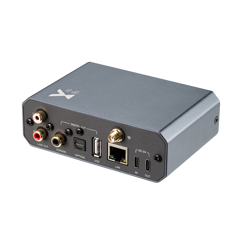 xDuoo DP-01 เครื่องเล่นเพลงสตร - Audio Without Music บทวิจารณ์และราคา